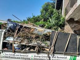 Best Residential Junk Removal  in Des Plaines, IL